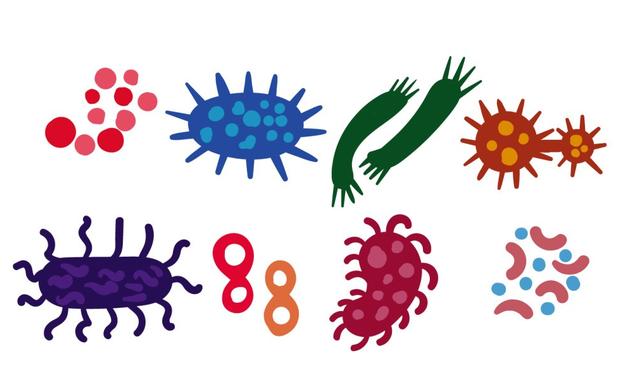 3分鐘科普，管道清洗到底是不是騙局？